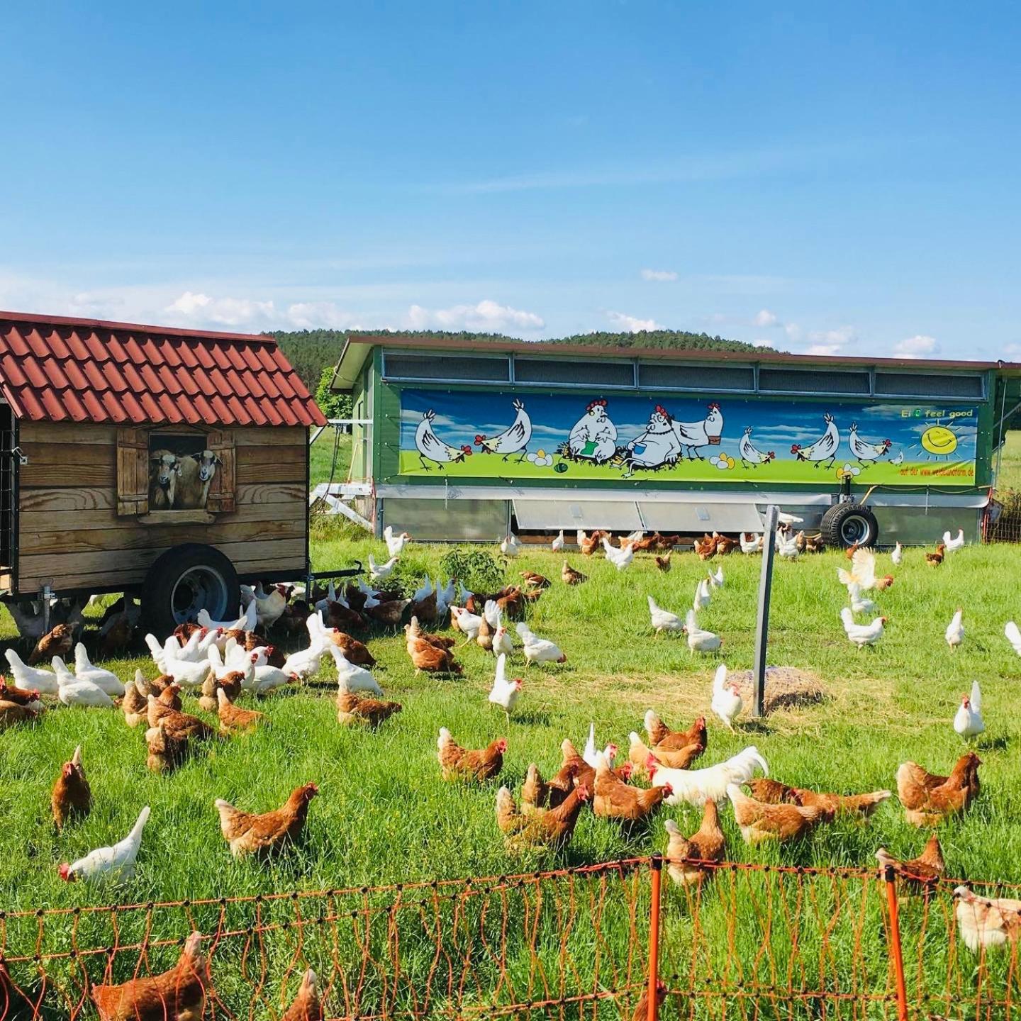 Ferienwohnung Weidelandfarm Am Riebener See Beelitz Exterior foto