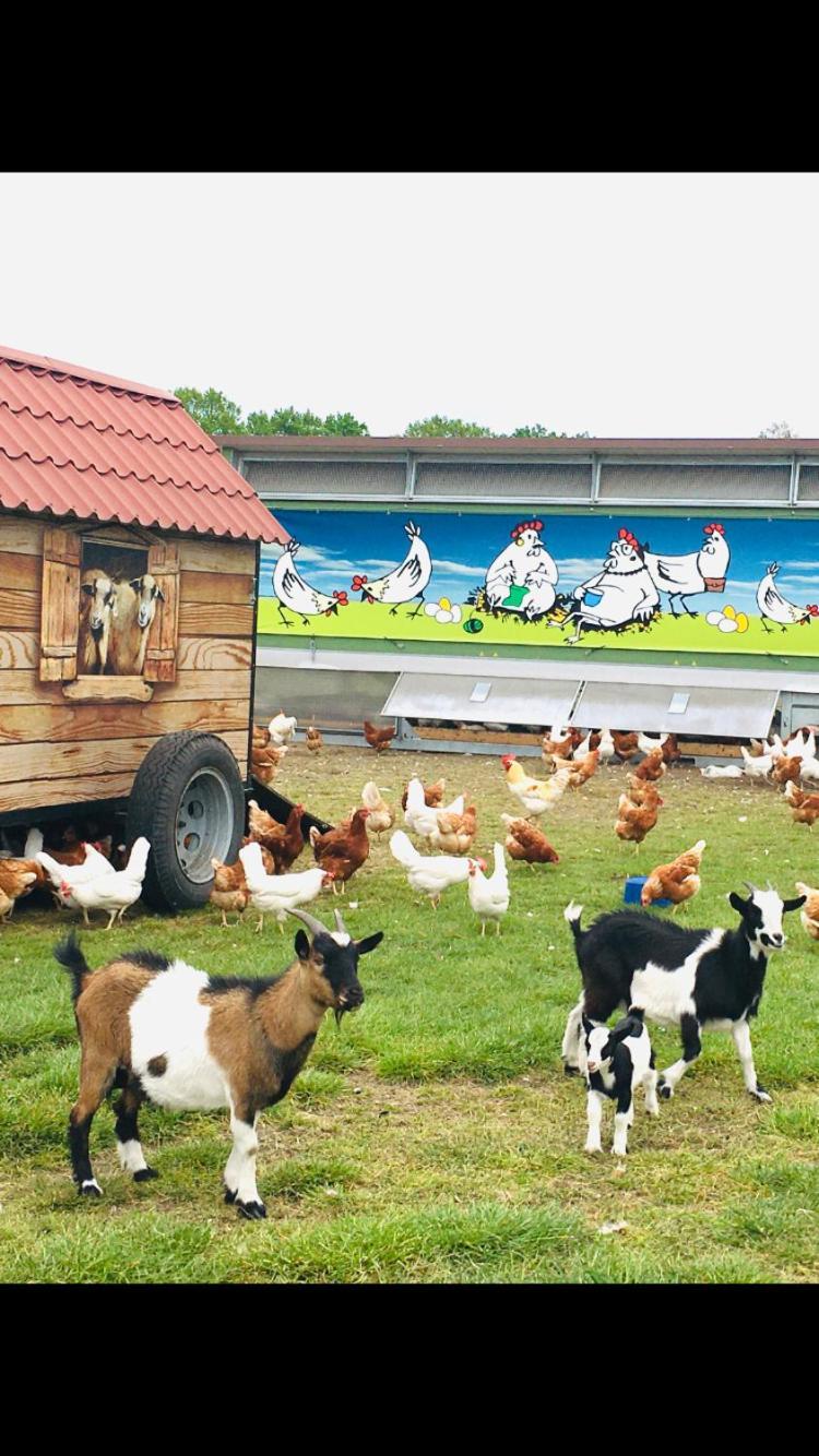 Ferienwohnung Weidelandfarm Am Riebener See Beelitz Exterior foto